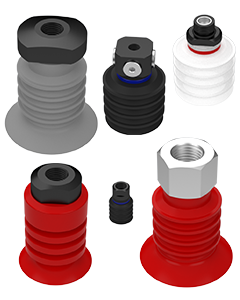 Série 9 - Multifoles